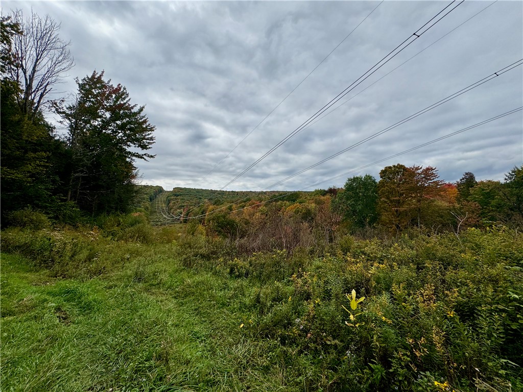 Gallop Hill Road Walton, NY 13856 - Photo 19 of 48 Gallery Image 19