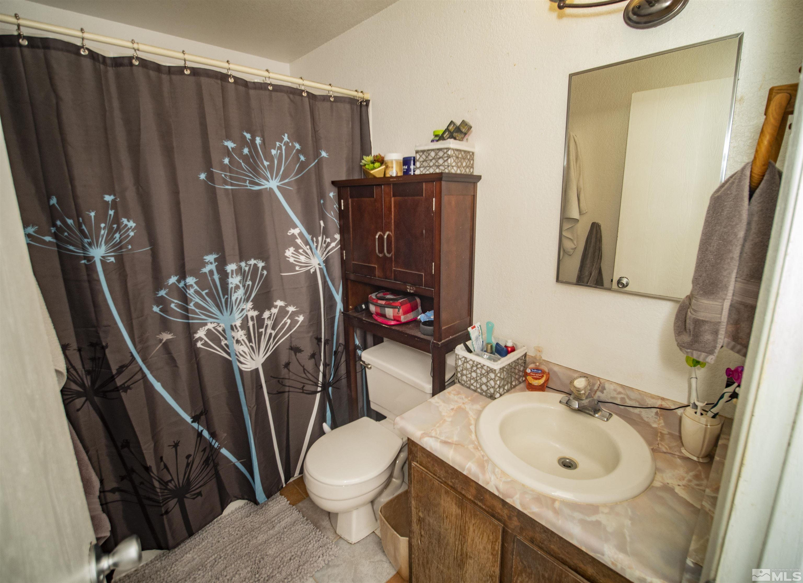 134 Ring Road Dayton, NV 89403 - Photo 10 of 14 Photo 10