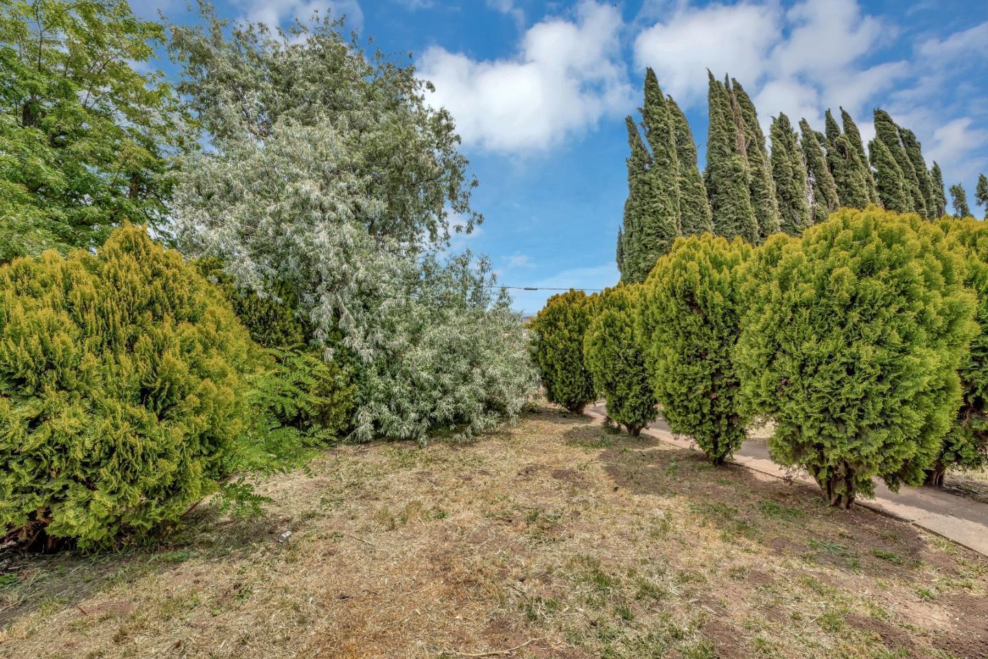 5929 Frazier Lake Road Gilroy, CA 95020 - Photo 16 of 59 Gallery Image 16