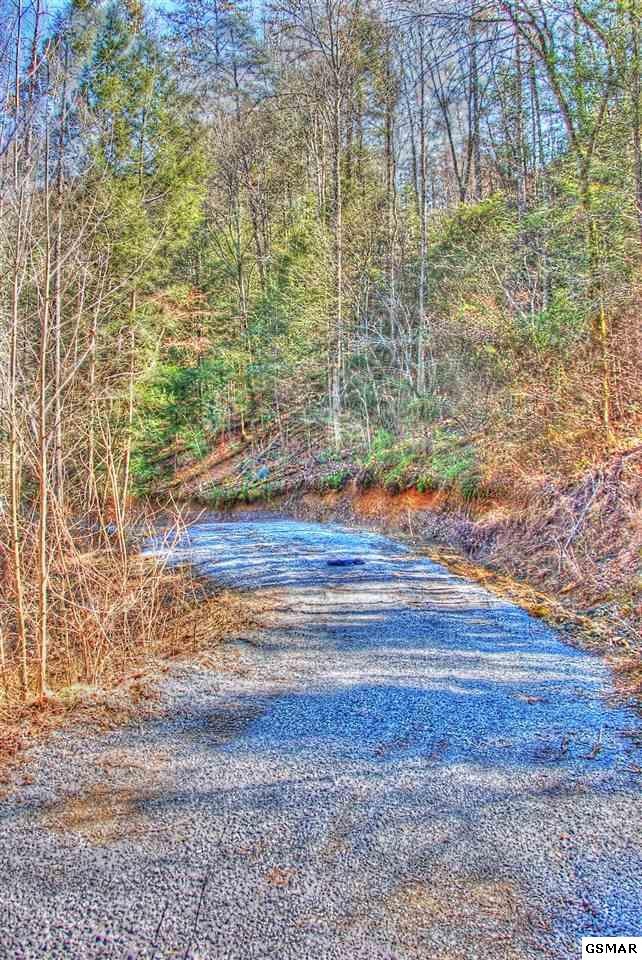 16 Riversong Way Sevierville, TN 37876 - Photo 16 of 34 Gallery Image 16