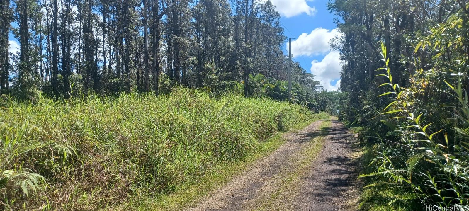 6-th Ooaa Road Kurtistown, HI 96771 - Photo 2 of 10 View of Rd 6 Ooaa looking right toward Rd E-Kioele