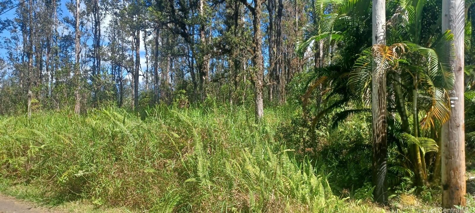 6-th Ooaa Road Kurtistown, HI 96771 - Photo 3 of 10 View from right of property and electric pole