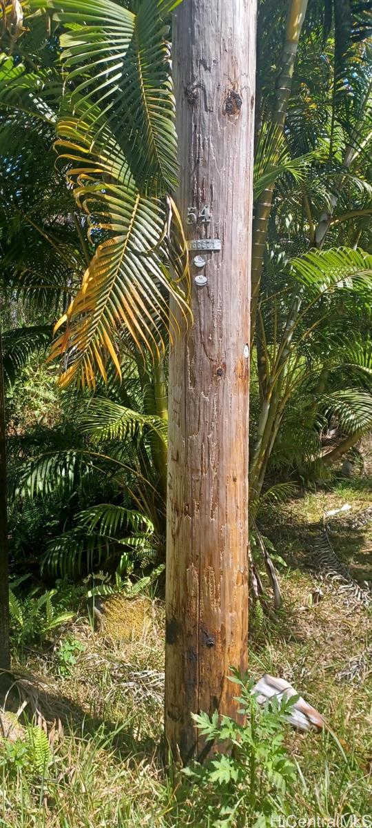 6-th Ooaa Road Kurtistown, HI 96771 - Photo 4 of 10 Electric pole 54