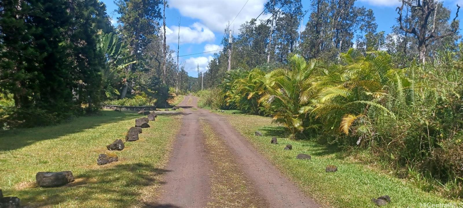 6-th Ooaa Road Kurtistown, HI 96771 - Photo 5 of 10 View of Rd 6 Ooaa looking to left and neighbor on left and across the road. Beautiful manicured streetfront.
