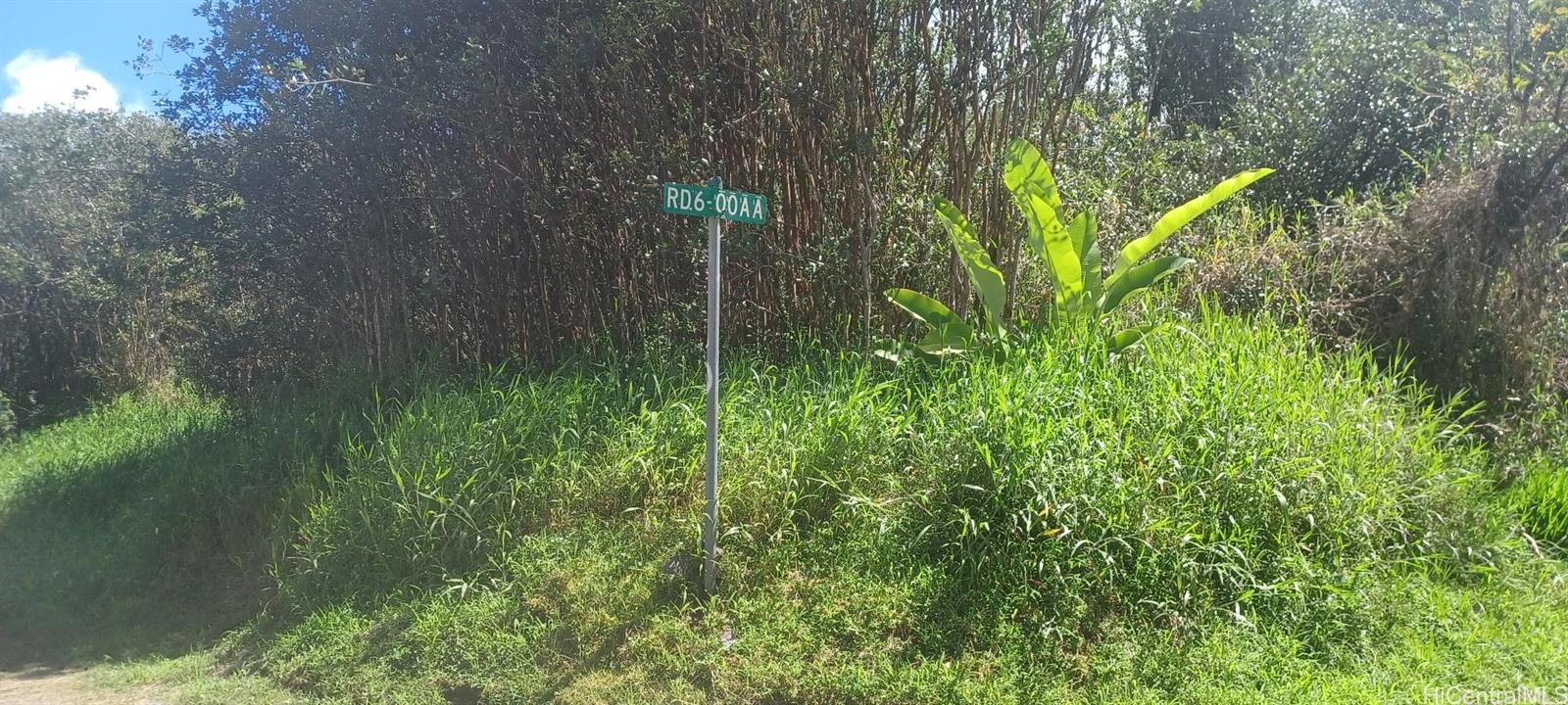 6-th Ooaa Road Kurtistown, HI 96771 - Photo 7 of 10 Right on Rd 6 Ooaa