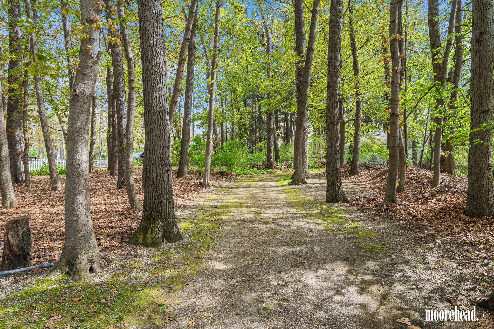 2613 Duff Road Twin Lake, MI 49457 - Photo 72 of 86 63-web-or-mls-A7401861