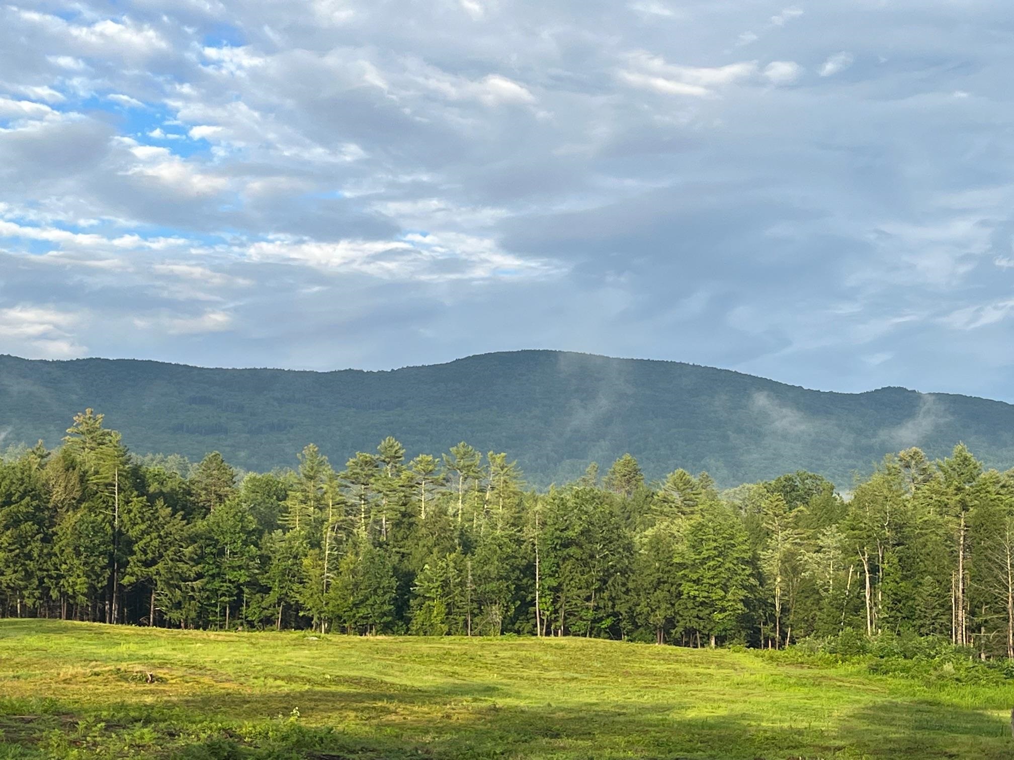 139 Turner Road Wentworth, NH 03282 - Photo 40 of 44