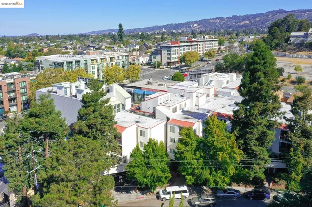 a view of a lake with a city