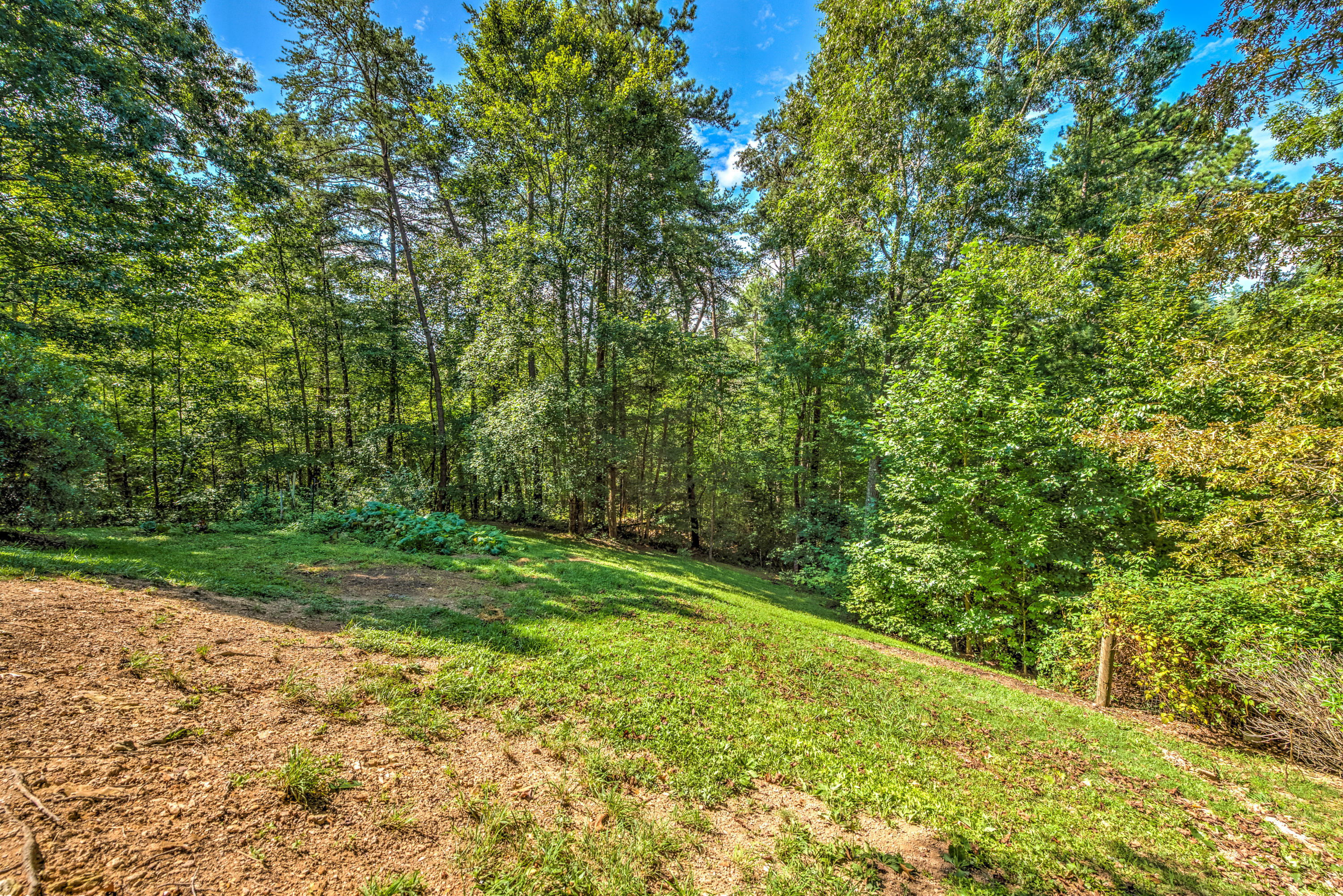1952 Fox Trail Road Walland, TN 37886 - Photo 34 of 38 1952 Fox Trail Road