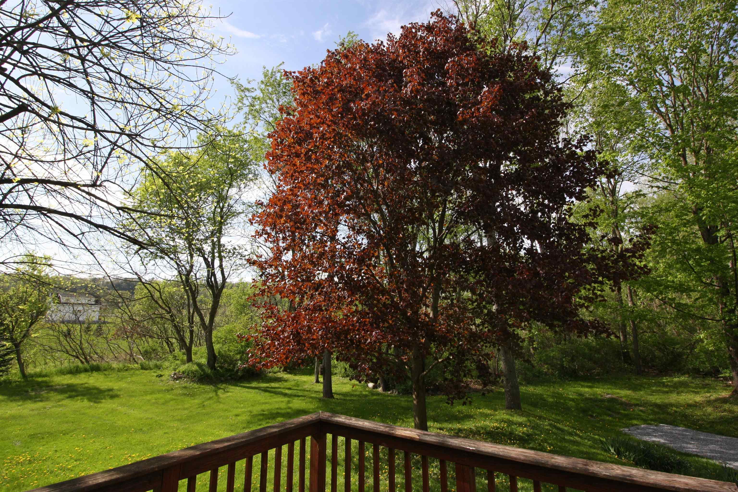23 Broadview Estates Bristol, VT 05443 - Photo 8 of 34