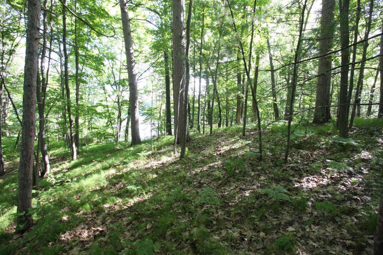 Lot 1 Lake Julia Road Rhinelander, WI 54501 - Photo 1 of 6 Gallery Image 1