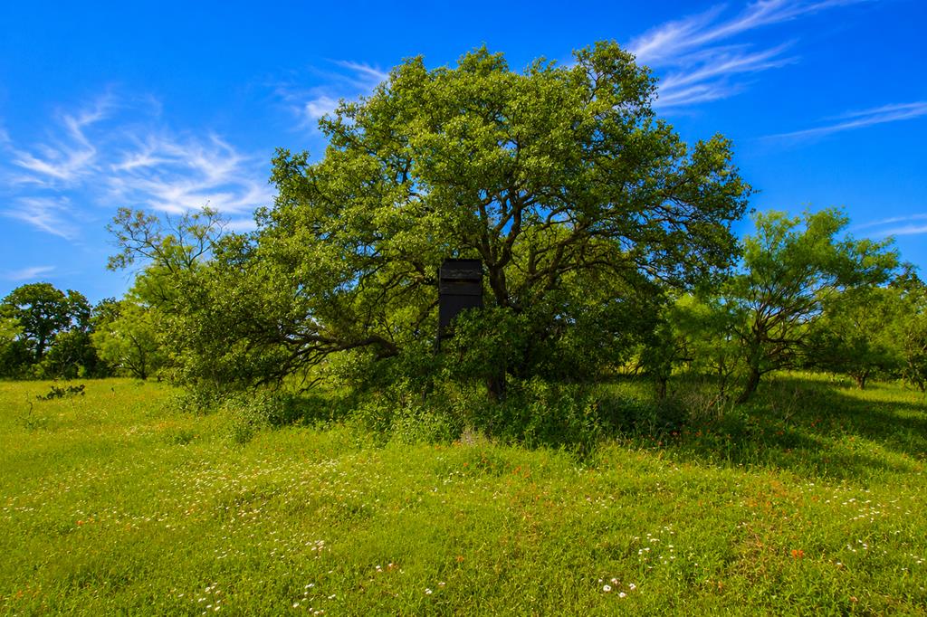 0 Fly Gap County Road Pontotoc, TX 76869 - Photo 5 of 14