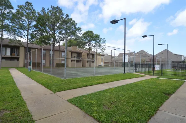a view of a park with a large tree