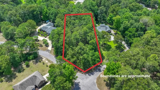 $50,000 | 0 Pinewood Drive, Santee, SC 29142