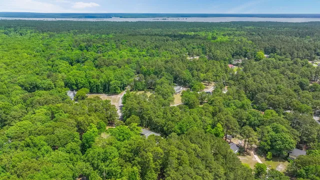 $50,000 | 0 Pinewood Drive, Santee, SC 29142