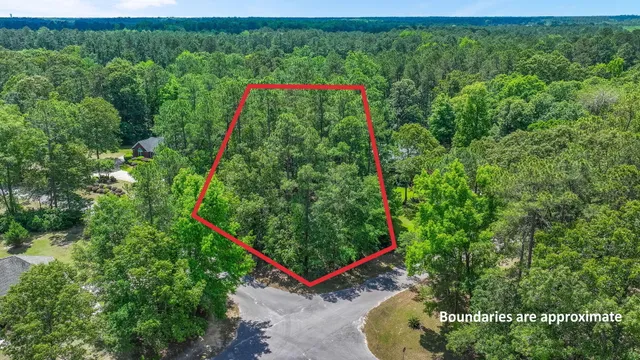 $50,000 | 0 Pinewood Drive, Santee, SC 29142