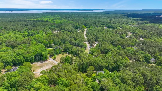 $50,000 | 0 Pinewood Drive, Santee, SC 29142