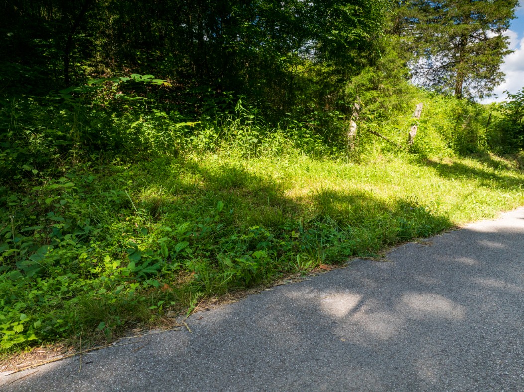 0 Round Barn Road Powder Springs, TN 37848 - Photo 33 of 40