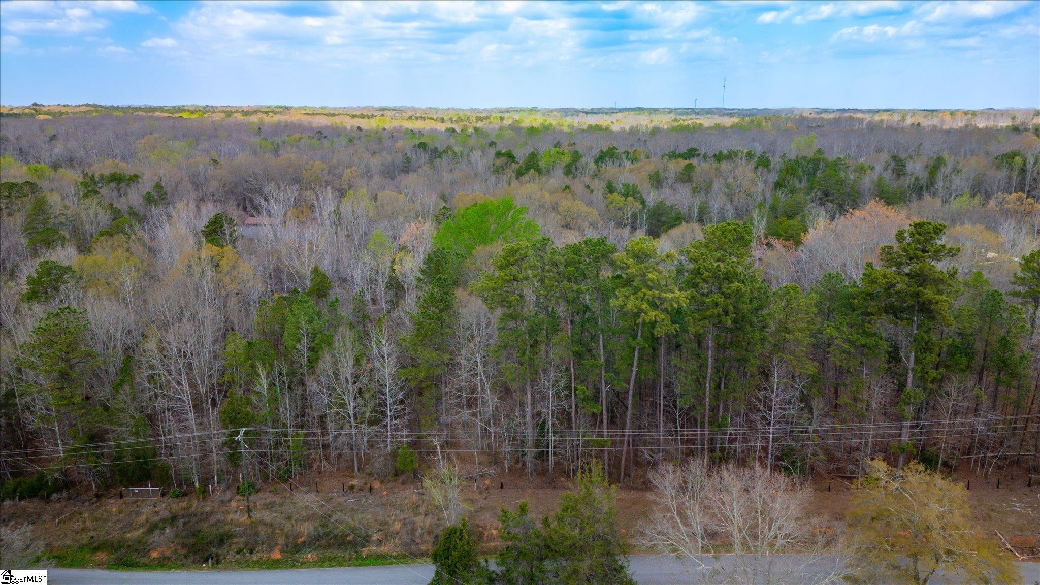 Tract A Lickville Road Belton, SC 29627 - Photo 2 of 10