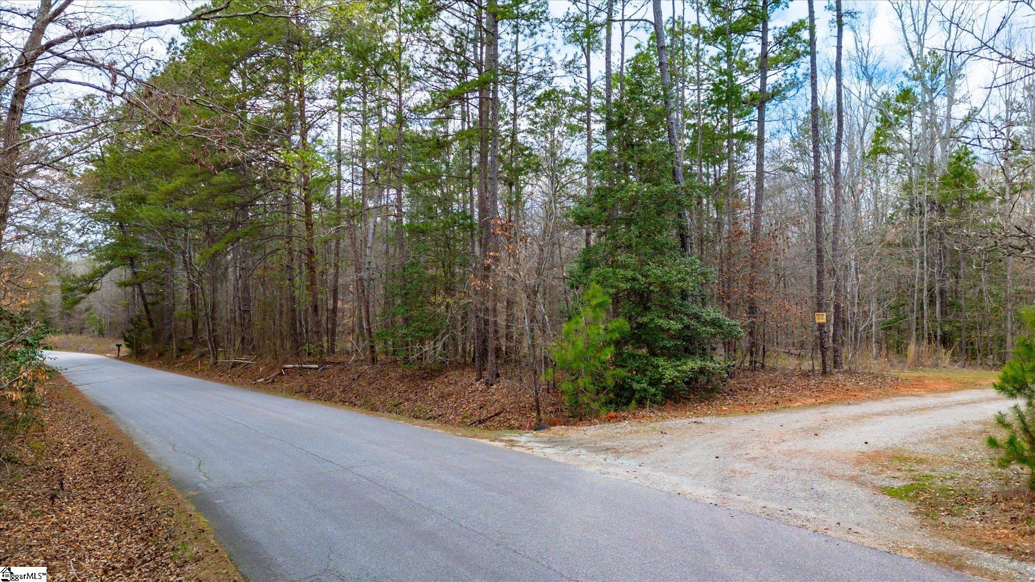 Tract A Lickville Road Belton, SC 29627 - Photo 5 of 10