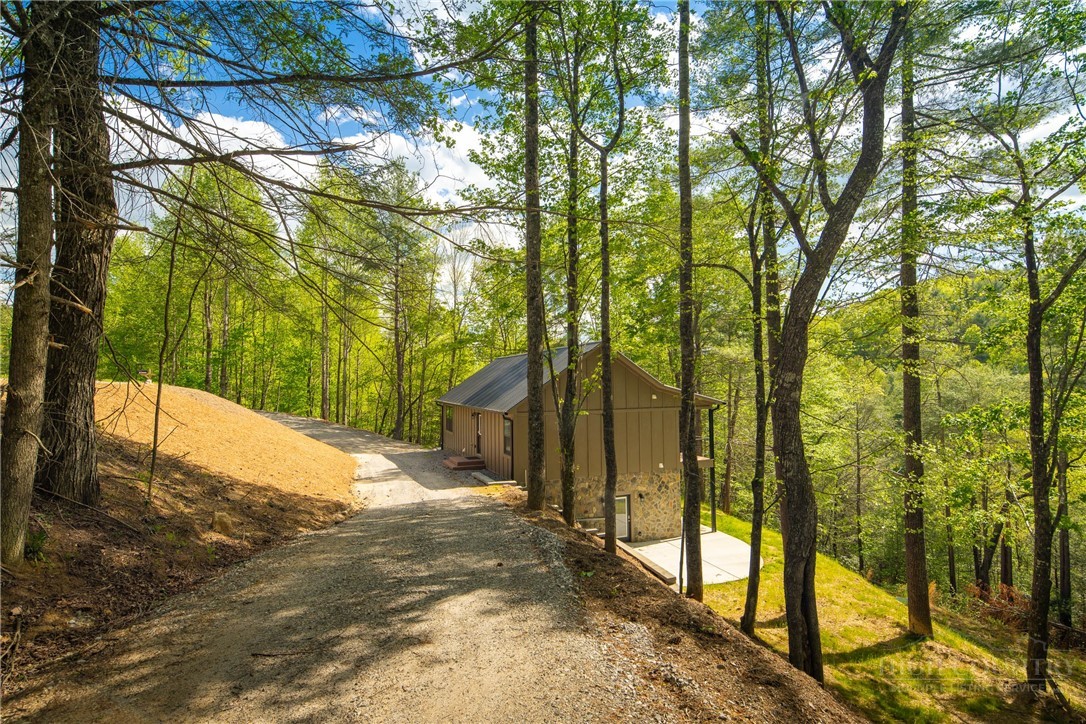 114 Woodpecker Road Purlear, NC 28665 - Photo 3 of 47