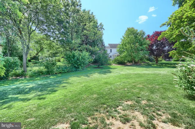 a view of a lush green space