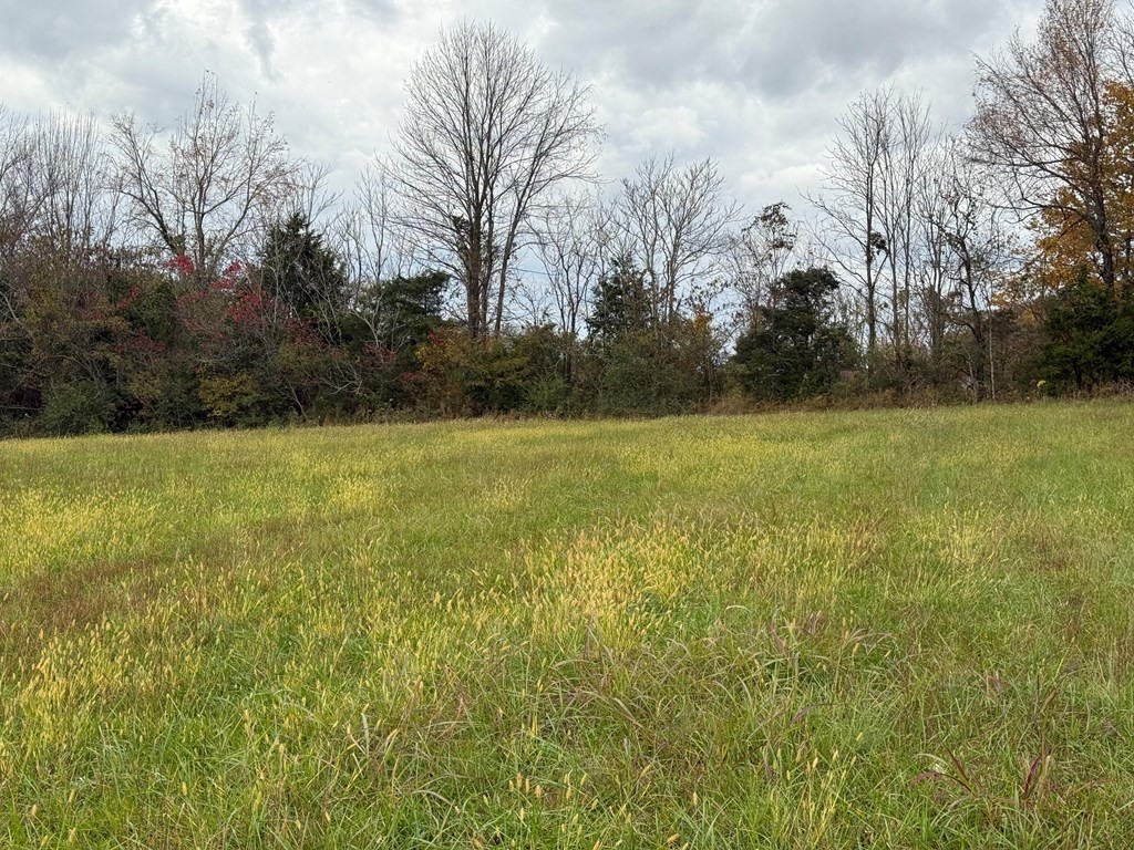 0 Roberts Matthews Highway Sparta, TN 38583 - Photo 12 of 13 a view of a field with trees in the background