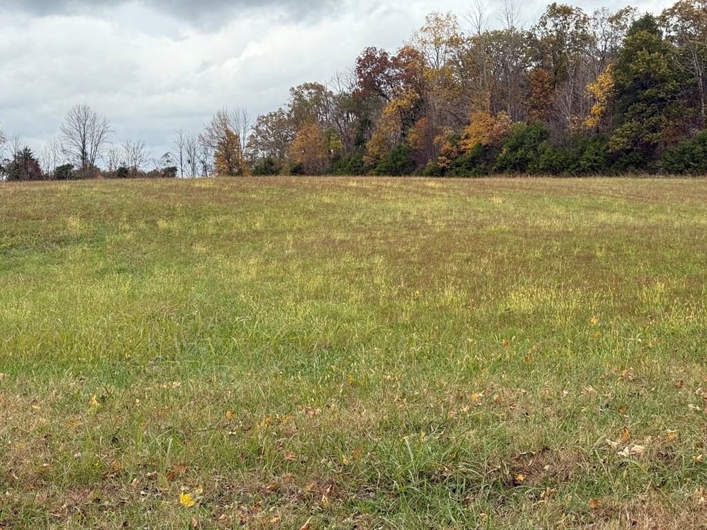 0 Roberts Matthews Highway Sparta, TN 38583 - Photo 13 of 13 a view of yard and ocean