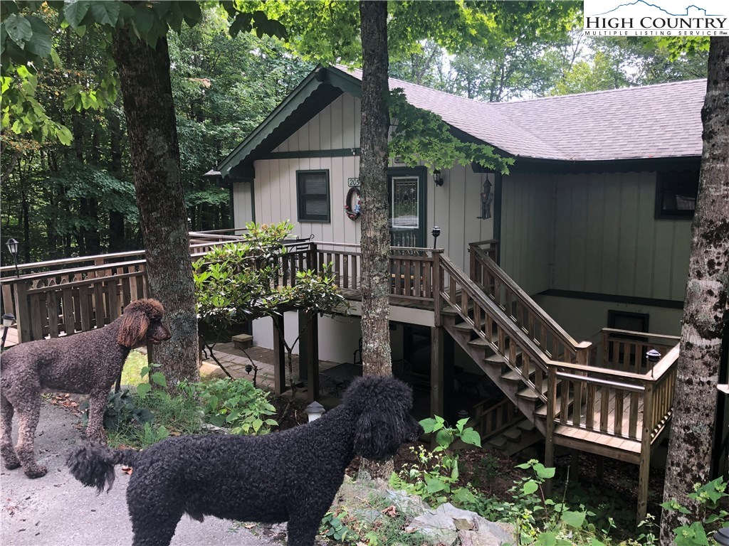 205 Tamarack Road Beech Mountain, NC 28604 - Photo 1 of 18 Gallery Image 1