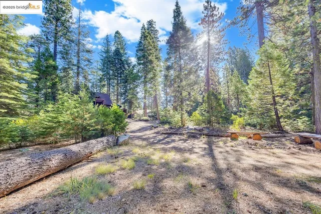 $610,000 | 311 Fir Trail, Pinecrest, CA 95364