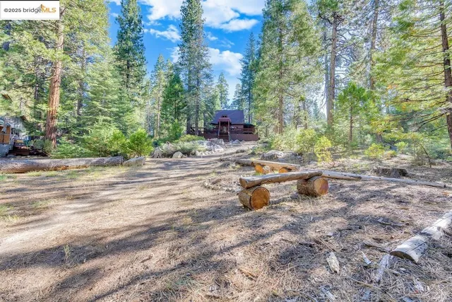 $610,000 | 311 Fir Trail, Pinecrest, CA 95364