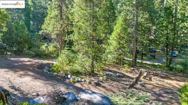 $610,000 | 311 Fir Trail, Pinecrest, CA 95364