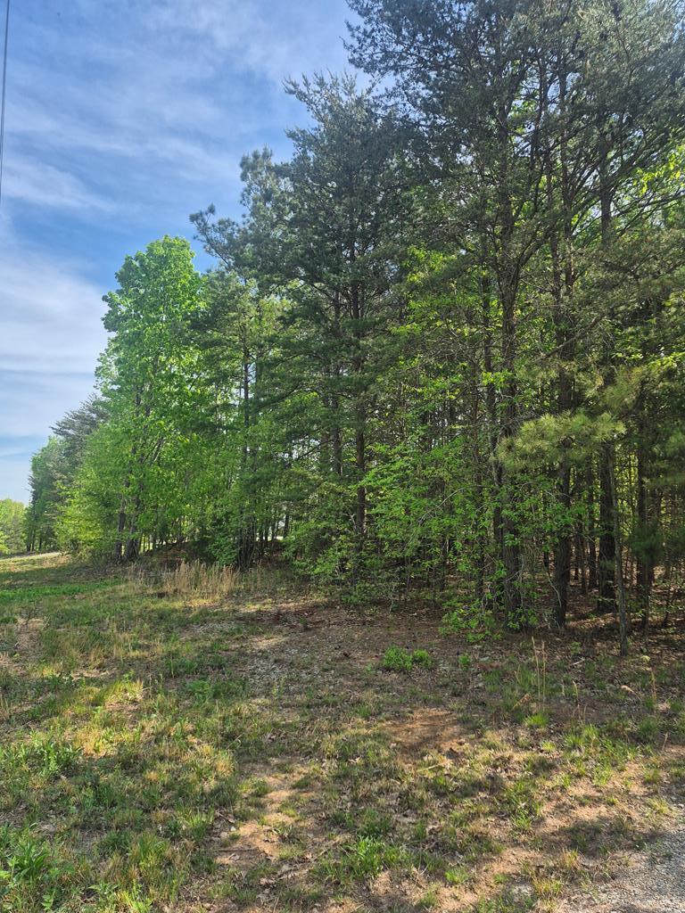 628 Mountain Creek Road, Unit 14 Victoria, VA 23974 - Photo 2 of 4 Gallery Image 2