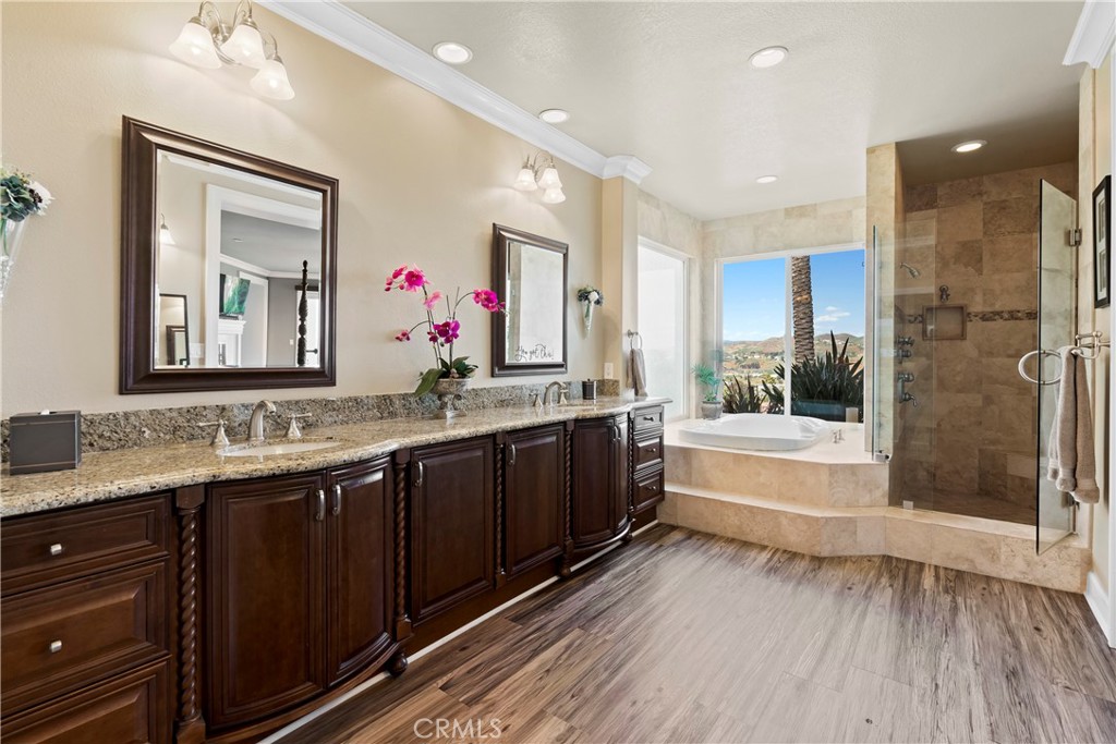 33662 Holtz Hill Drive Dana Point, CA 92629 - Photo 52 of 75 a bathroom with a bathtub shower sink and mirror