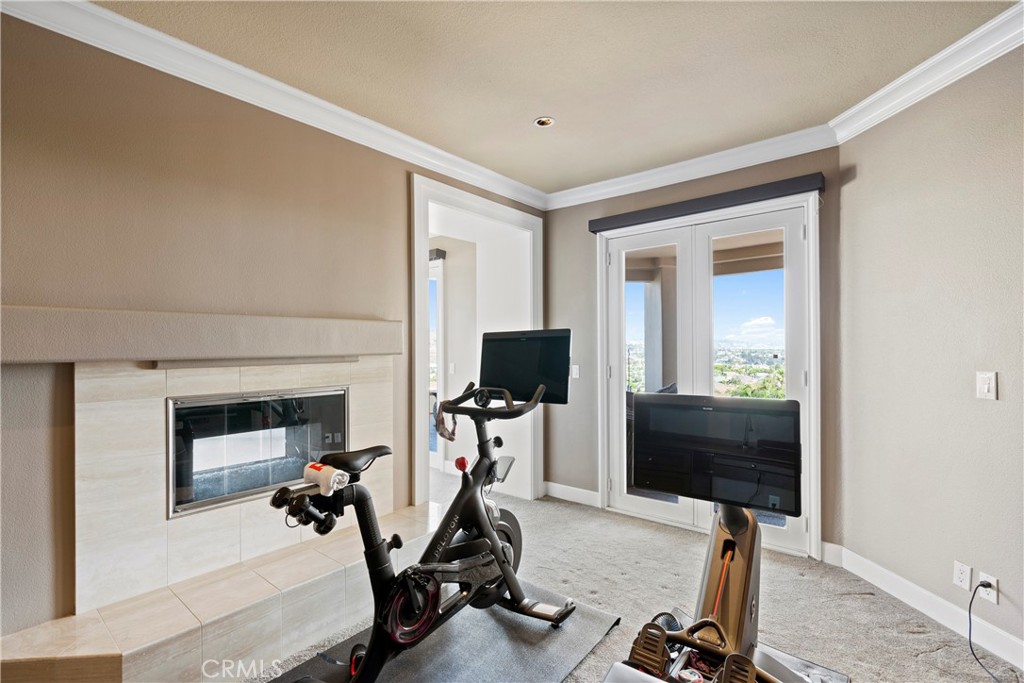 33662 Holtz Hill Drive Dana Point, CA 92629 - Photo 56 of 75 a view of a room with gym equipment
