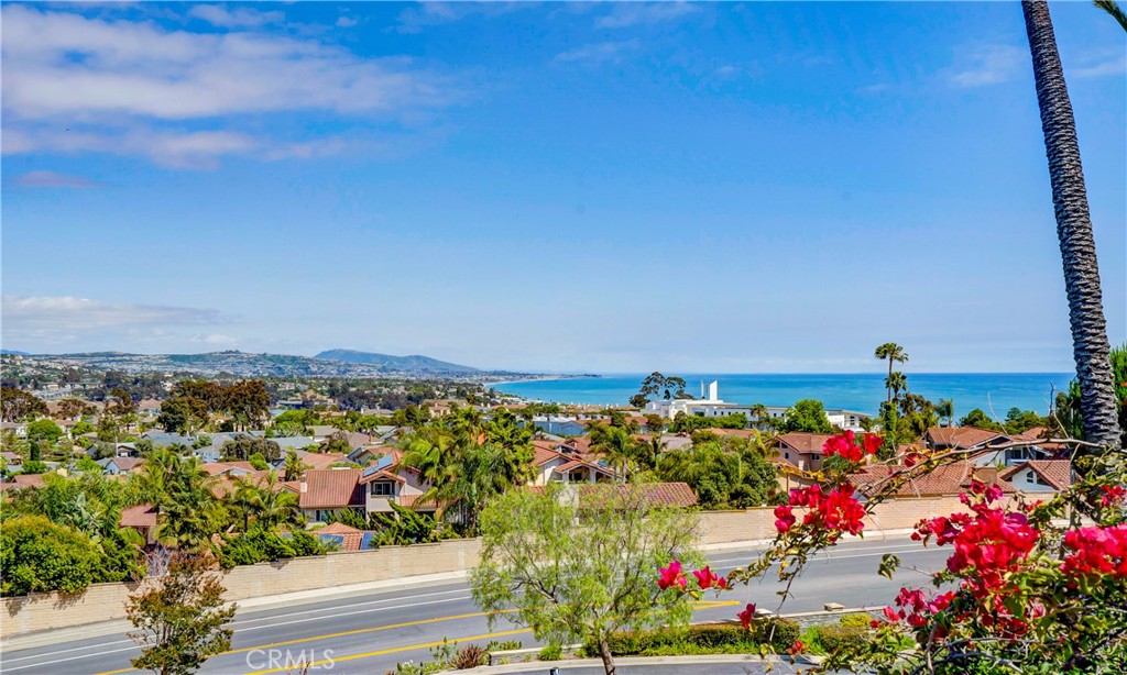 33662 Holtz Hill Drive Dana Point, CA 92629 - Photo 69 of 75