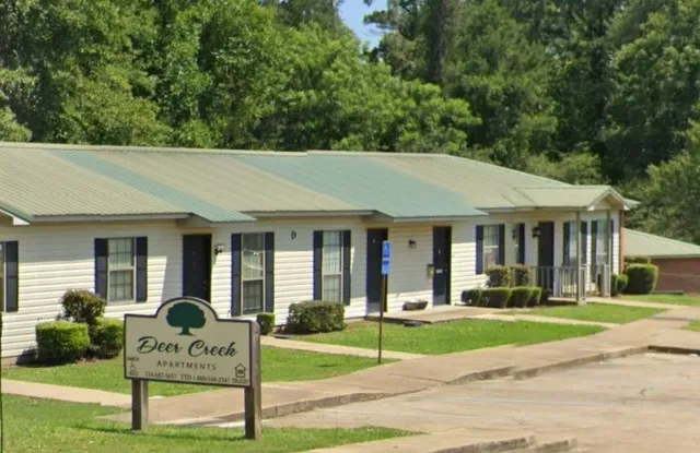 a view of a house with a yard patio and a garden