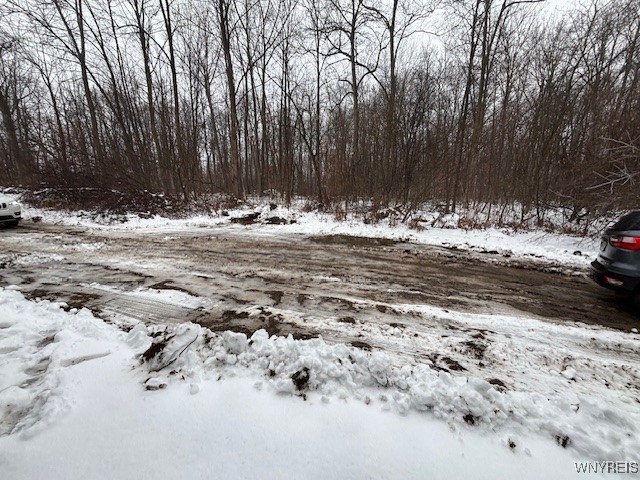 10849 Maple Ridge Road Shelby, NY 14103 - Photo 14 of 19