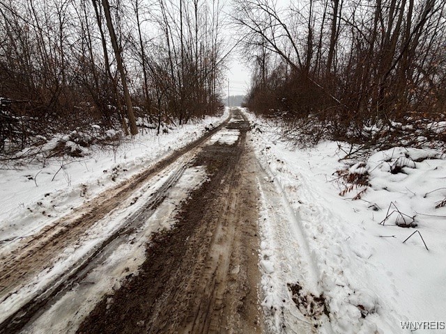 10849 Maple Ridge Road Shelby, NY 14103 - Photo 15 of 19