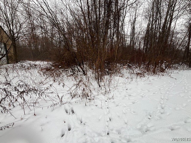 10849 Maple Ridge Road Shelby, NY 14103 - Photo 18 of 19