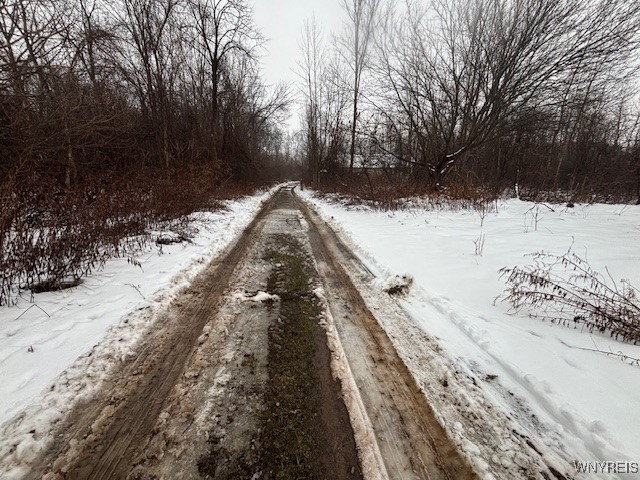 10849 Maple Ridge Road Shelby, NY 14103 - Photo 19 of 19