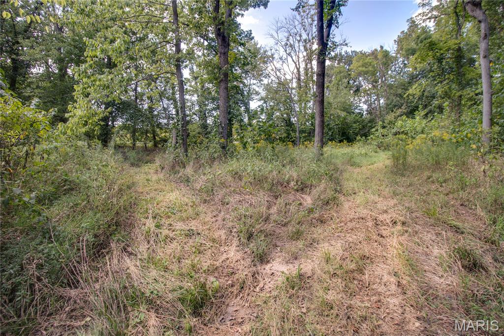 Marine Rd Marine Road Highland, IL 62249 - Photo 15 of 49 Gallery Image 15