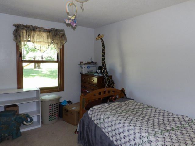 180 East Brogan Road Hastings, MI 49058 - Photo 18 of 40 180 E Brogan Bedroom 2