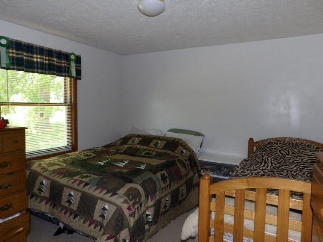 180 East Brogan Road Hastings, MI 49058 - Photo 19 of 40 180 E Brogan Bedroom 3