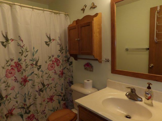 180 East Brogan Road Hastings, MI 49058 - Photo 22 of 40 180 E Brogan Bath 1