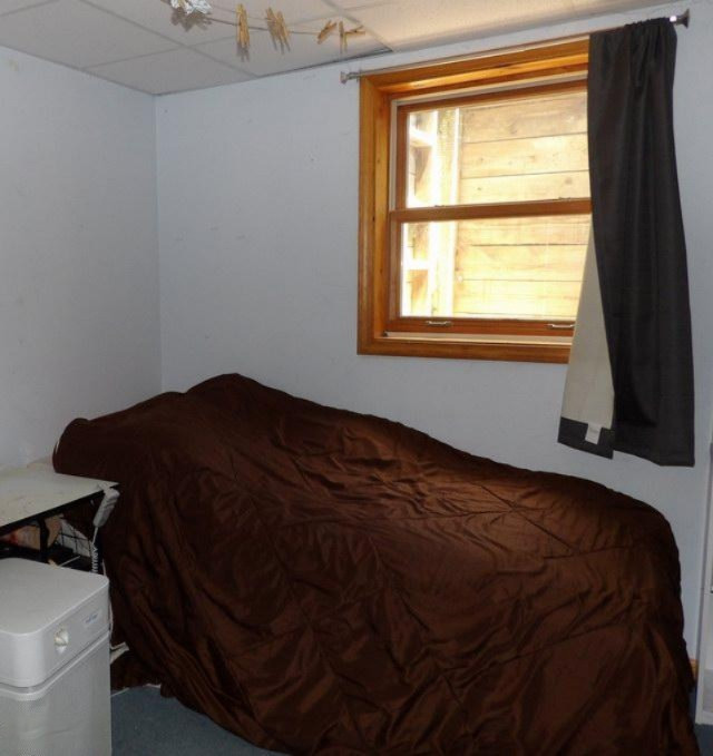 180 East Brogan Road Hastings, MI 49058 - Photo 26 of 40 180 E Brogan bedroom 5 basement
