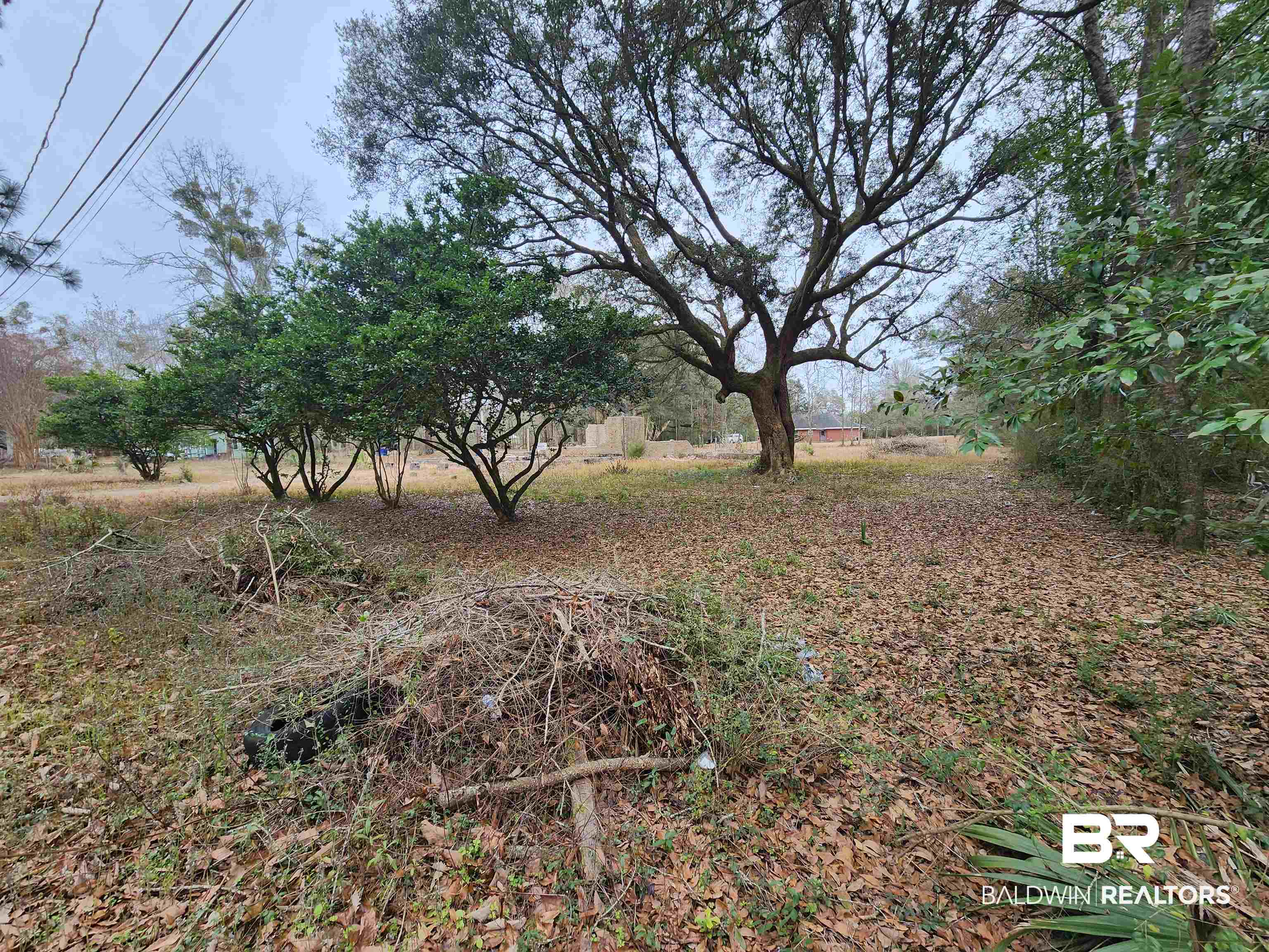 4369 Medley Street Eight Mile, AL 36613 - Photo 3 of 5