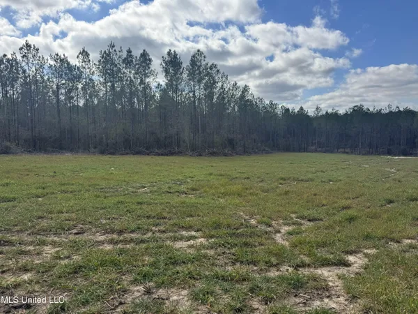 $880,000 | Smiley Honea Road, Magnolia, MS 39652