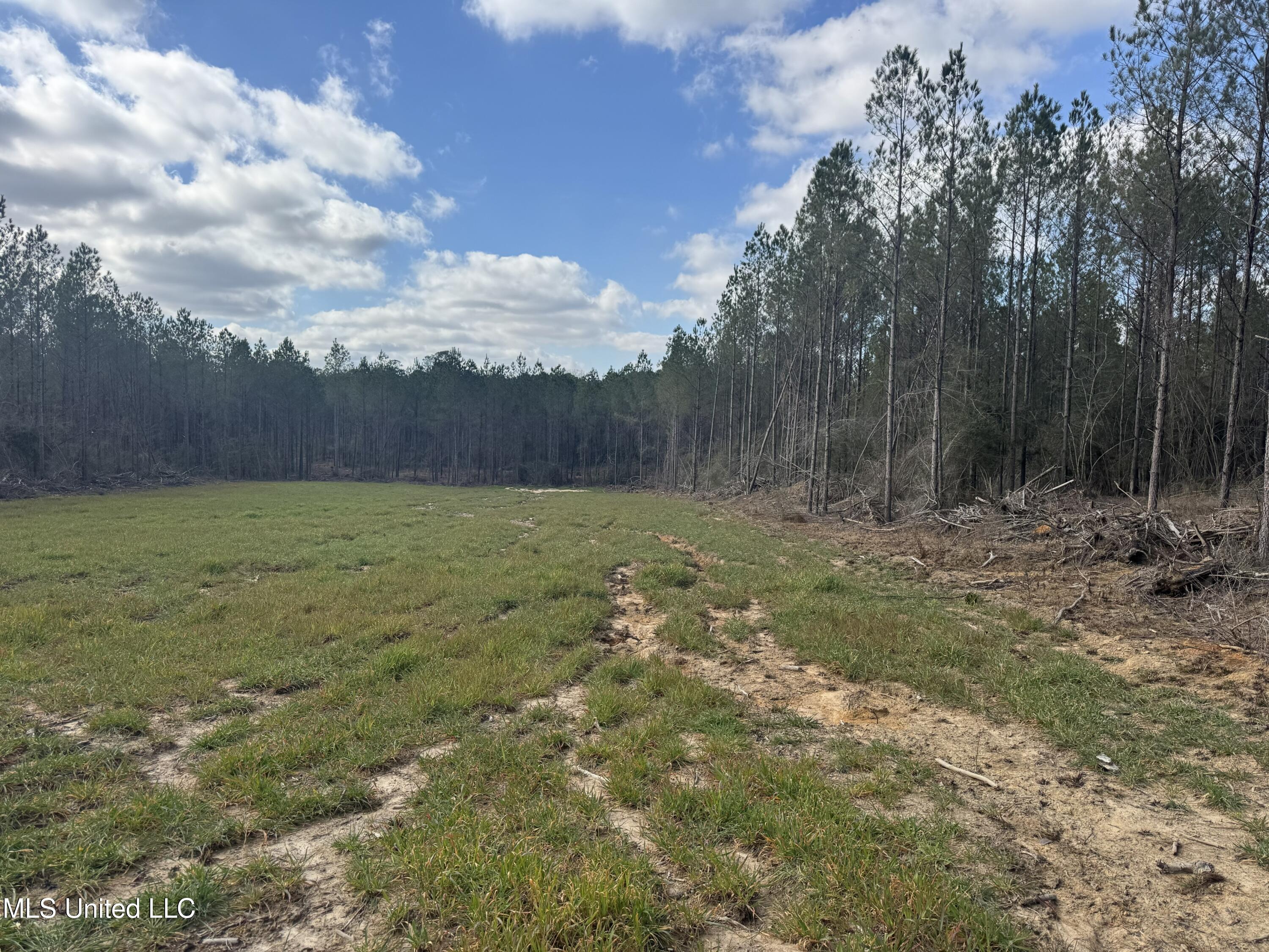 Smiley Honea Road Magnolia, MS 39652 - Photo 11 of 15 11