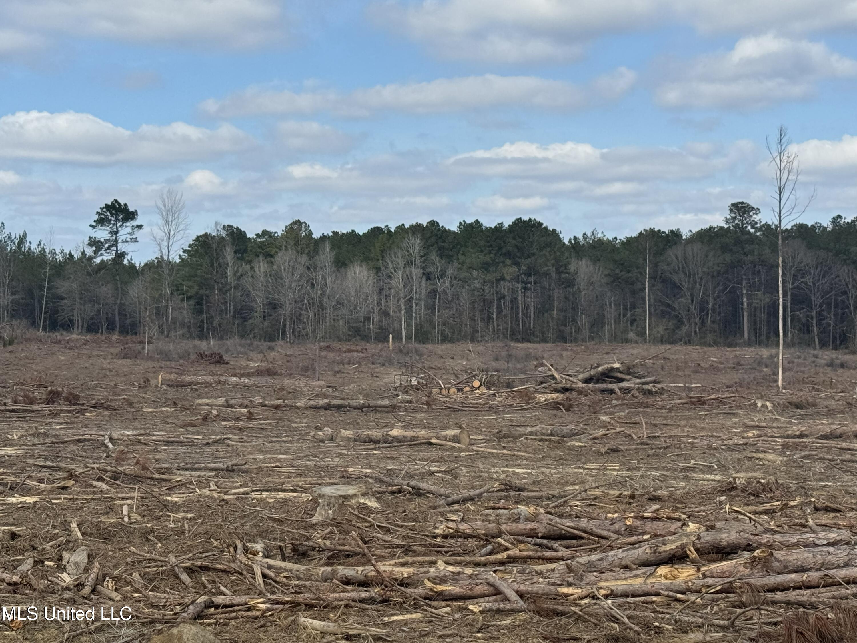 Smiley Honea Road Magnolia, MS 39652 - Photo 12 of 15 12